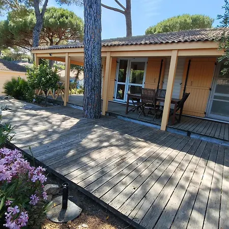 וילה Gasmed20 - Golfe De St-tropez - Pour 6 Personnes Dans Domaine Prive Et Arbore